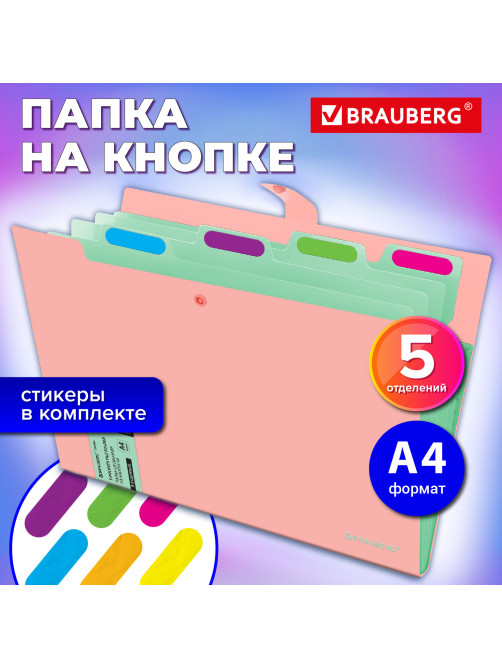 Папка-органайзер на кнопке 5 отделений, BRAUBERG 