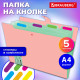 Папка-органайзер на кнопке 5 отделений, BRAUBERG 