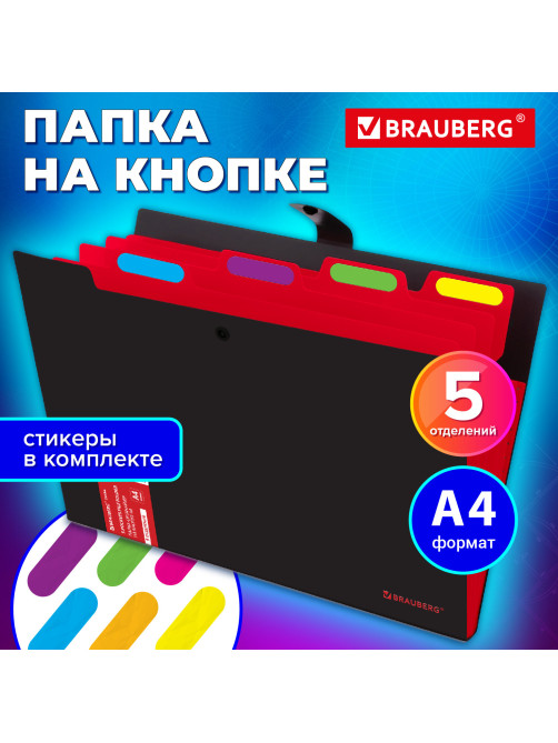 Папка-органайзер на кнопке 5 отделений, BRAUBERG 