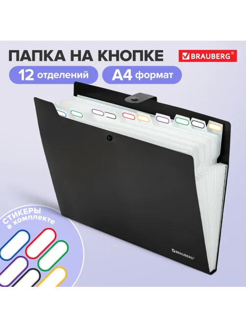Папка-органайзер на кнопке 12 отделений, BRAUBERG 