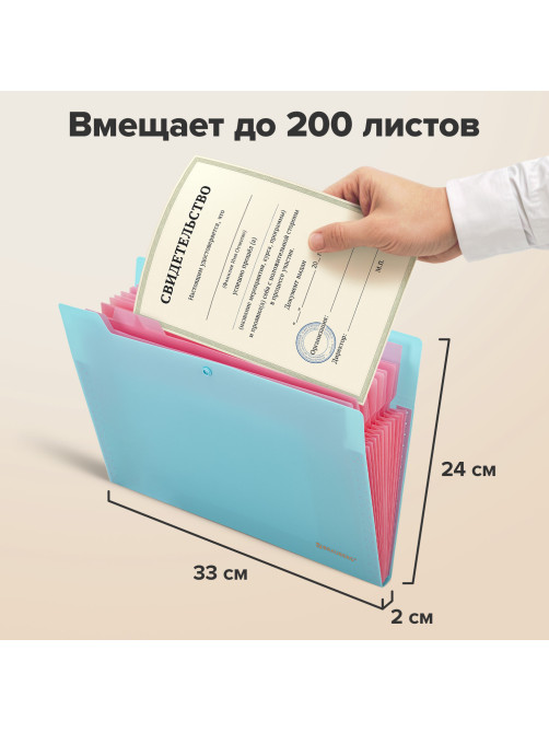 Папка-органайзер на кнопке 12 отделений, BRAUBERG 