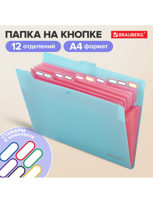 Папка-органайзер на кнопке 12 отделений, BRAUBERG 