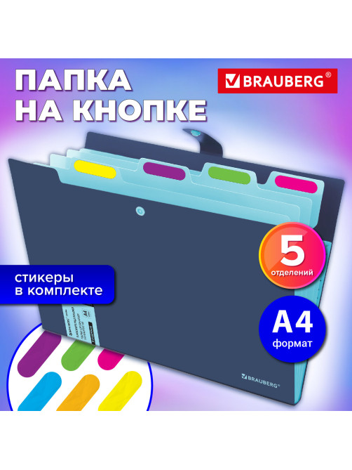 Папка-органайзер на кнопке 5 отделений, BRAUBERG 
