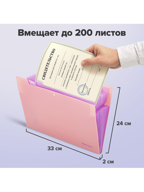 Папка-органайзер на кнопке 12 отделений, BRAUBERG 