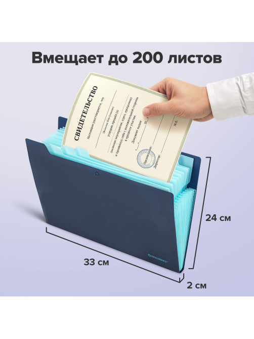 Папка-органайзер на кнопке 12 отделений, BRAUBERG 