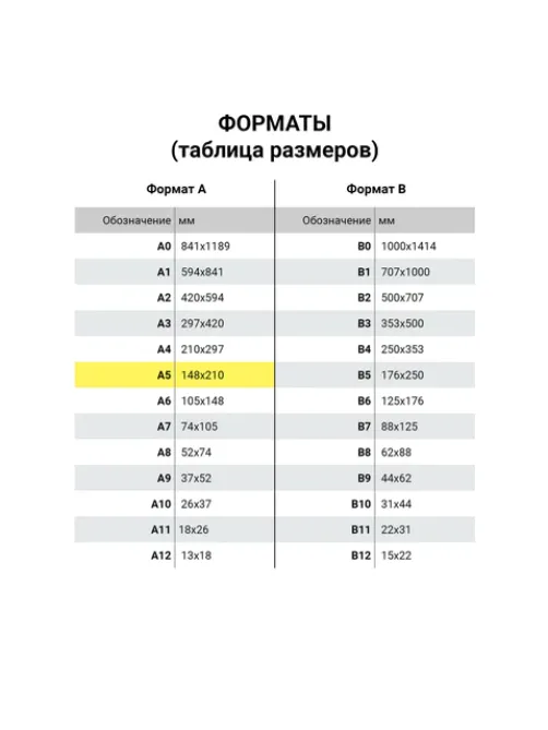 Папка на молнии пластиковая BRAUBERG, 