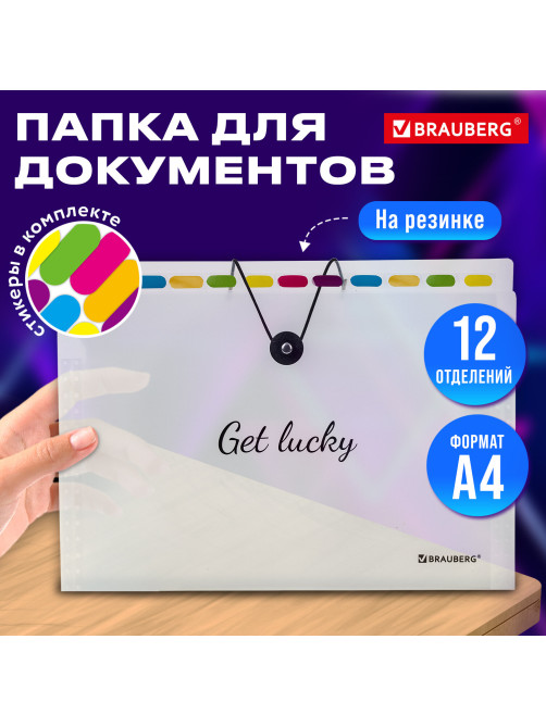 Папка-органайзер на резинке 12 отделений, BRAUBERG 
