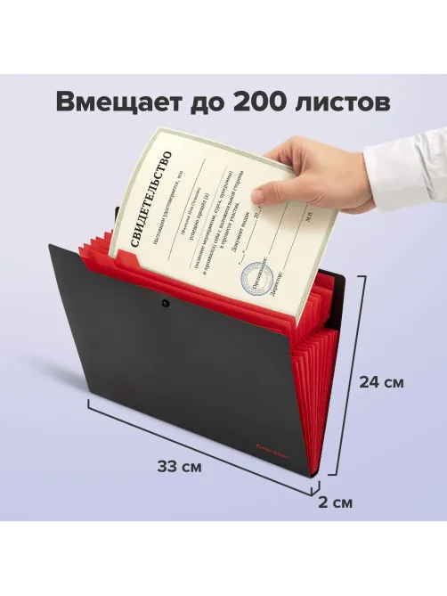 Папка-органайзер на кнопке 12 отделений, BRAUBERG 