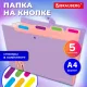 Папка-органайзер на кнопке 5 отделений, BRAUBERG 