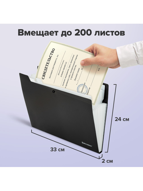 Папка-органайзер на кнопке 12 отделений, BRAUBERG 