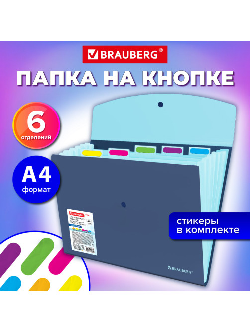 Папка-органайзер конверт на кнопке 6 отделений, BRAUBERG 