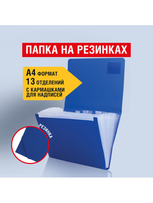 Папка на резинках BRAUBERG 