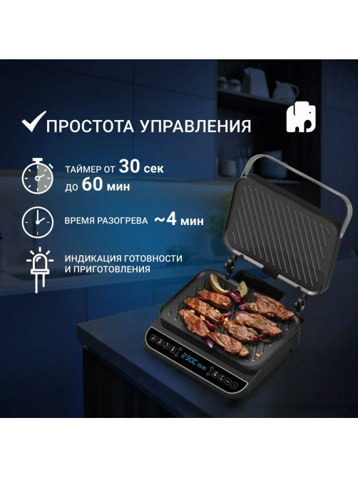 Электрогриль VIXTER ECG-1212, 2000 Вт, съемные панели, регулировка температуры, серебро/черный