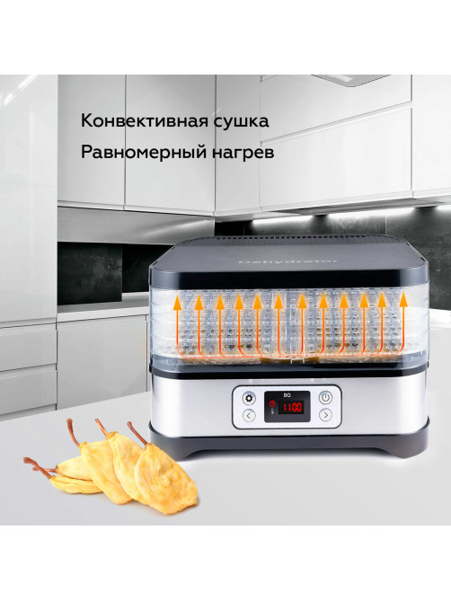 Сушилка для овощей BQ (БИ-КЬЮ) FD1001, объём 10 л, 250 Вт, 5 поддонов, электронное управление, стальная, 86192128