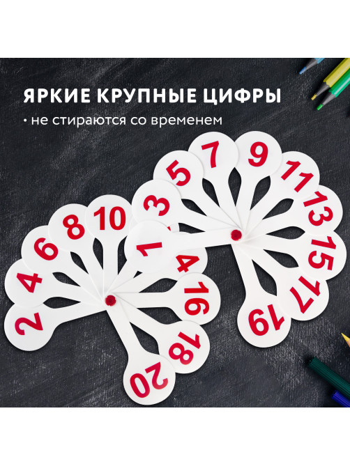 Веер-касса (цифры от 1 до 20) ПИФАГОР, 227392