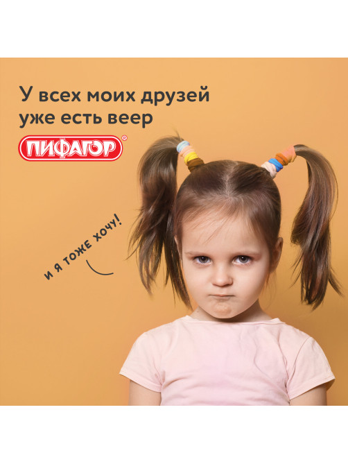 Веер-касса (парные согласные буквы) ПИФАГОР, 227388