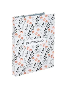 Папка-портфолио универсальная, 4 кольца, 20 файлов, 7БЦ матовая, BRAUBERG 