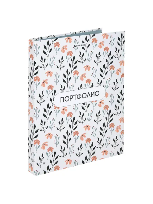 Папка-портфолио универсальная, 4 кольца, 20 файлов, 7БЦ матовая, BRAUBERG 