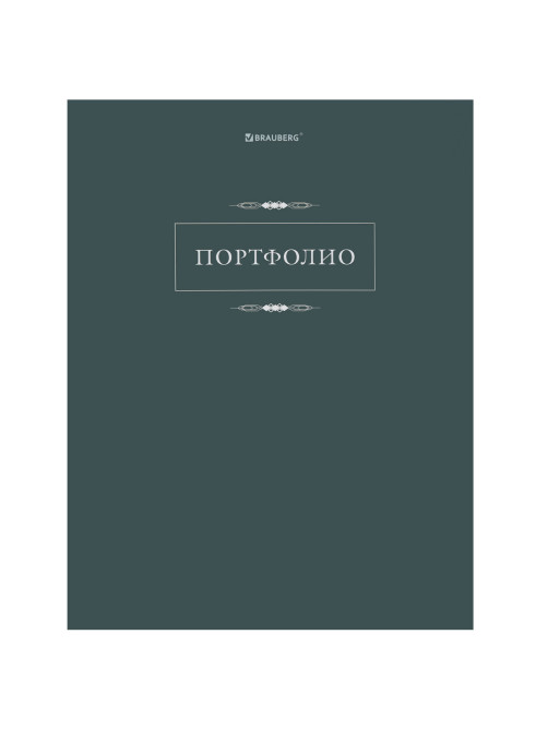 Папка-портфолио универсальная, 4 кольца, 20 файлов, 7БЦ матовая, BRAUBERG 