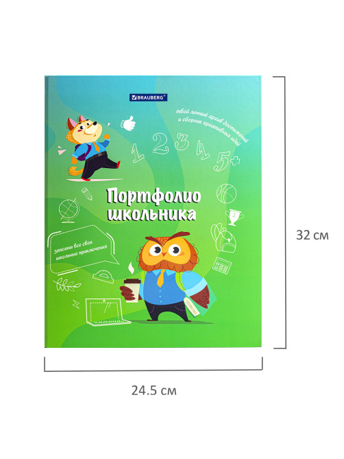Папка-портфолио школьника 