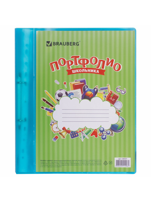 Папка для портфолио школьника, 2 кольца, 20 файлов, пластик, полупрозрачный, синяя, BRAUBERG, 126557