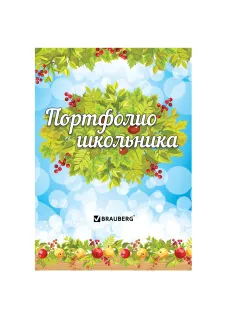 Листы-вкладыши для портфолио школьника, 14 разделов, 16 листов, 