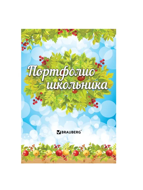 Листы-вкладыши для портфолио школьника, 14 разделов, 16 листов, 