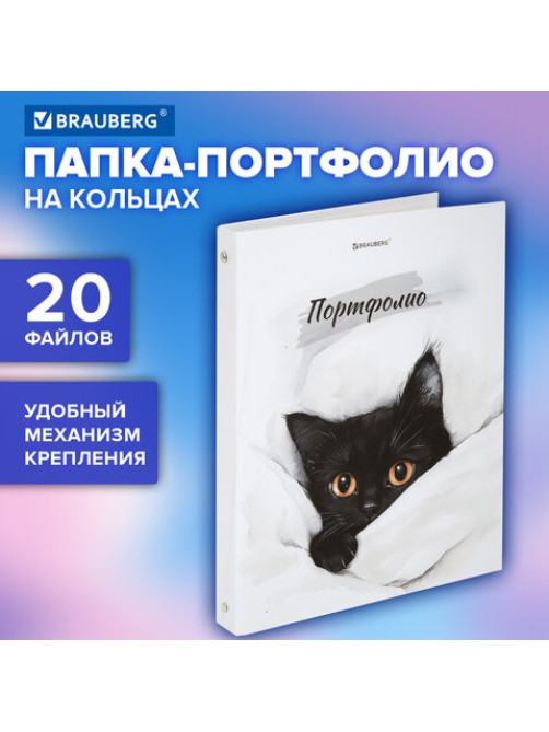 Папка-портфолио универсальная, 4 кольца, 20 файлов, 7БЦ матовая, BRAUBERG 