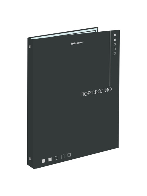 Папка-портфолио универсальная, 4 кольца, 20 файлов, 7БЦ матовая, BRAUBERG 