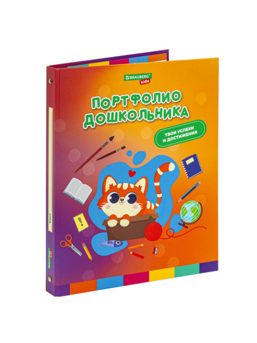 Папка-портфолио дошкольника 