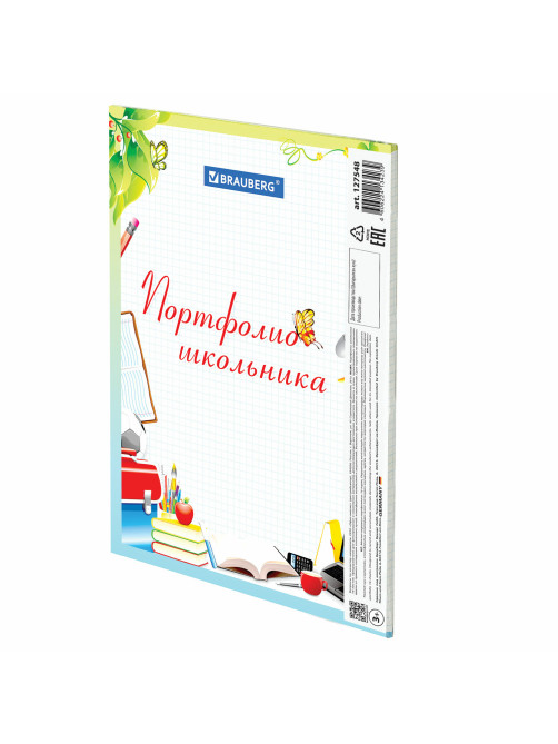 Листы-вкладыши для портфолио школьника, 14 разделов, 16 листов, 
