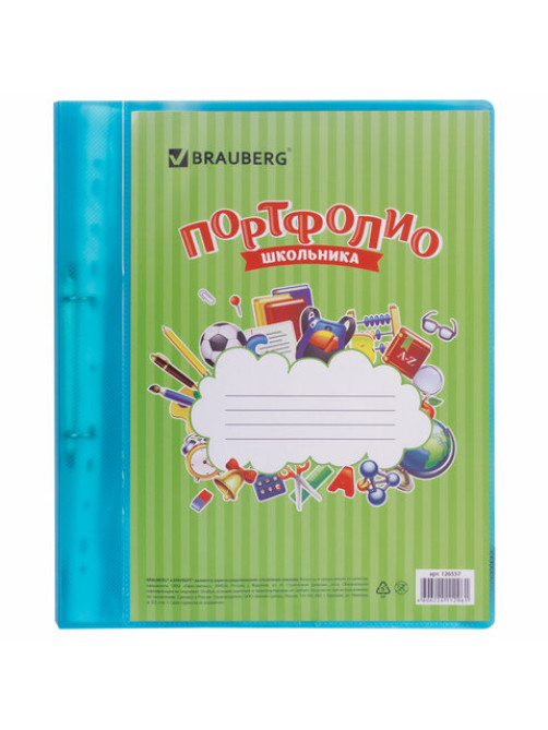 Папка для портфолио школьника, 2 кольца, 20 файлов, пластик, полупрозрачный, синяя, BRAUBERG, 126557