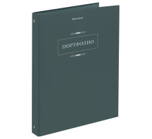 Папка-портфолио универсальная, 4 кольца, 20 файлов, 7БЦ матовая, BRAUBERG 