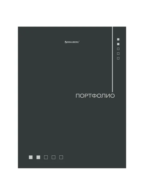 Папка-портфолио универсальная, 4 кольца, 20 файлов, 7БЦ матовая, BRAUBERG 