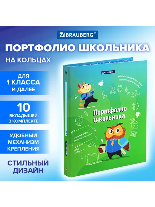 Папка-портфолио школьника 