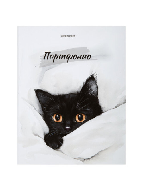 Папка-портфолио универсальная, 4 кольца, 20 файлов, 7БЦ матовая, BRAUBERG 