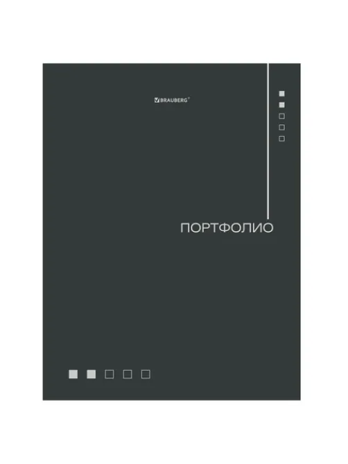 Папка-портфолио универсальная, 4 кольца, 20 файлов, 7БЦ матовая, BRAUBERG 