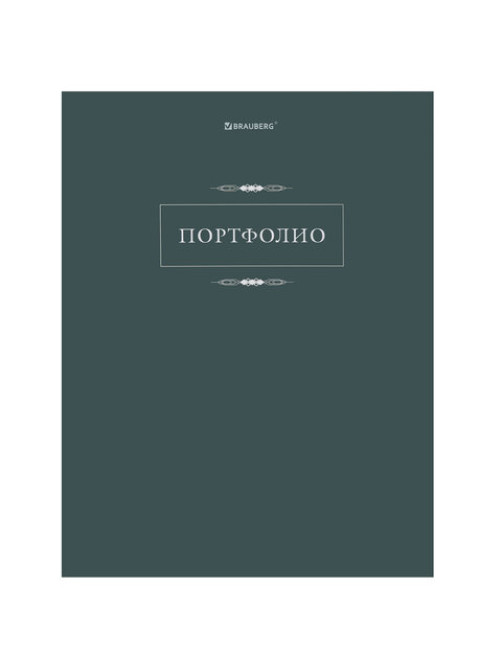 Папка-портфолио универсальная, 4 кольца, 20 файлов, 7БЦ матовая, BRAUBERG 