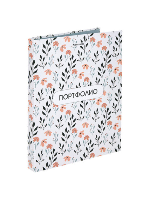 Папка-портфолио универсальная, 4 кольца, 20 файлов, 7БЦ матовая, BRAUBERG 