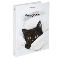 Папка-портфолио универсальная, 4 кольца, 20 файлов, 7БЦ матовая, BRAUBERG 