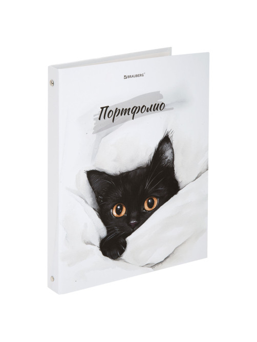 Папка-портфолио универсальная, 4 кольца, 20 файлов, 7БЦ матовая, BRAUBERG 