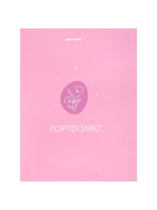 Папка-портфолио универсальная, 4 кольца, 20 файлов, 7БЦ матовая, BRAUBERG, 