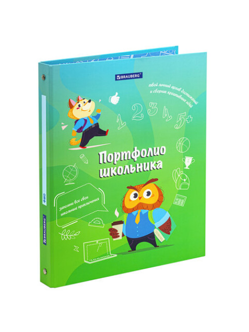 Папка-портфолио школьника 