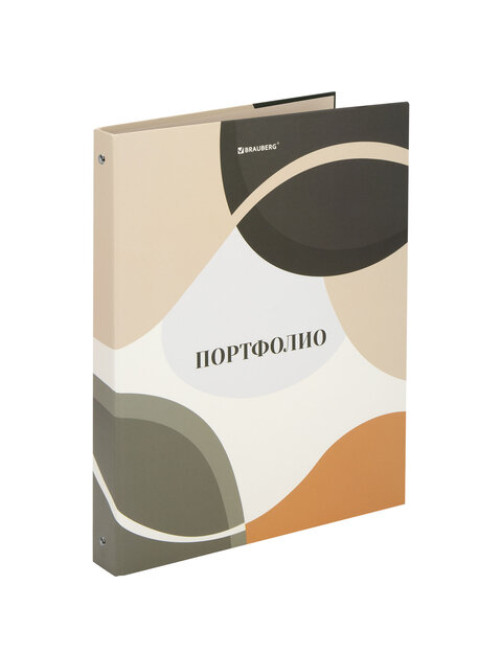 Папка-портфолио универсальная, 4 кольца, 20 файлов, 7БЦ матовая, BRAUBERG 