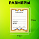 Ценники картонные 