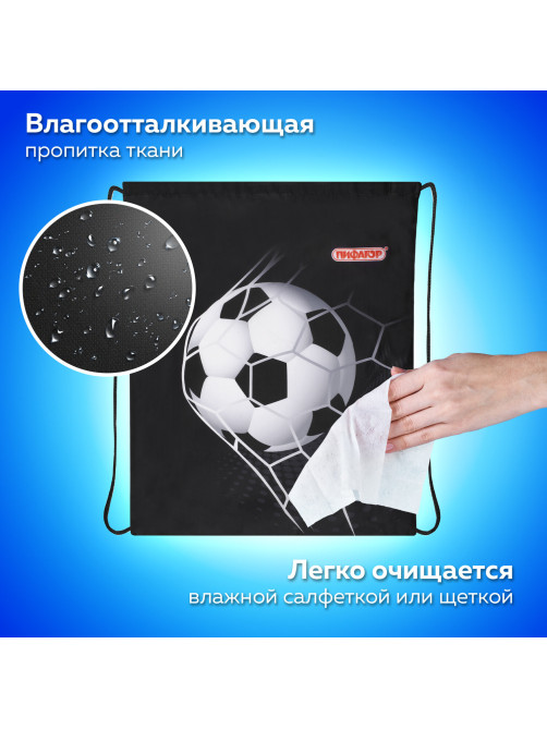 Мешок для обуви ПИФАГОР, 1 отделение, 42х34 см, 