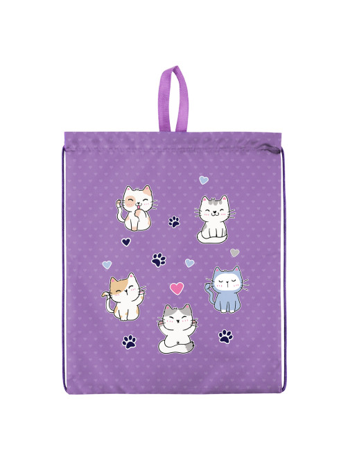 Мешок для обуви BRAUBERG KIDS, с петлей, 42х34 см, 