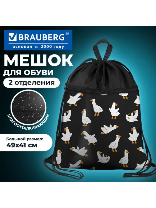 Мешок для обуви BRAUBERG БОЛЬШОЙ, с ручкой, карман на молнии, сетка, 49х41 см, 