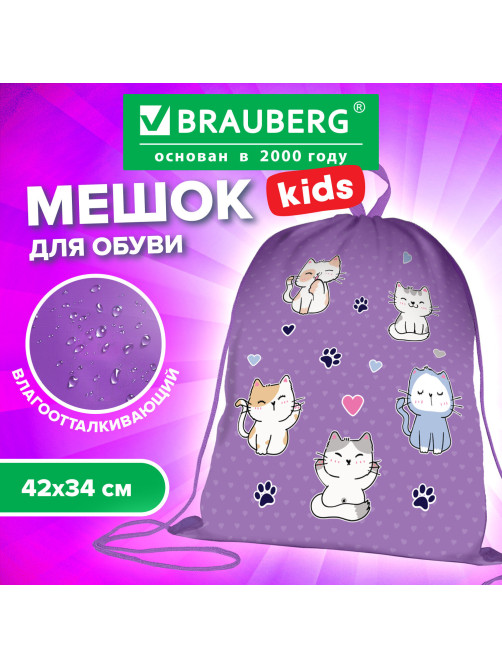 Мешок для обуви BRAUBERG KIDS, с петлей, 42х34 см, 