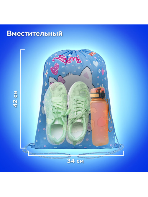 Мешок для обуви ПИФАГОР, 1 отделение, 42х34 см, 